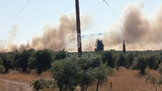 Καίει ανέξελεγκτη η φωτιά στη Βοιωτία, μπαράζ 112 για εκκένωση - Μάχη χωρίς εναέρια μέσα στο Ρέθυμνο