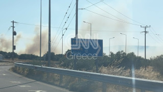 Στη Βοιωτία το πιο δύσκολο πύρινο μέτωπο, 4 χωριά έχουν εκκενωθεί - Νέα φωτιά κοντά στις Μυκήνες