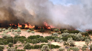 Στη Βοιωτία το πιο δύσκολο πύρινο μέτωπο, 4 χωριά έχουν εκκενωθεί - Νέα φωτιά κοντά στις Μυκήνες