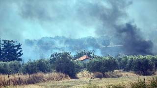Άνιση μάχη με τις φλόγες στη Βοιωτία: Εκκενώνεται οικισμός μέσω θαλάσσης - 112 και στην Αργολίδα