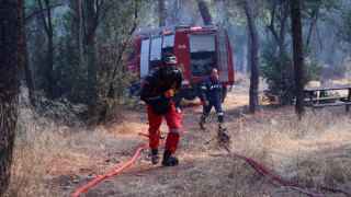 Φωτιά στο Χαϊδάρι: Ενισχύθηκαν οι δυνάμεις - Επιχειρούν 108 πυροσβέστες και 11 εναέρια