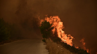 Liveblog: Ανεξέλεγκτες οι φωτιές σε Βοιωτία και Άρτα - Η γρήγορη επέμβαση «έσωσε» το Χαϊδάρι