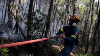 Σε αυξημένη επιχειρησιακή ετοιμότητα το ΕΚΑΒ για τις φωτιές σε Φωκίδα και Πόρτο Γερμενό