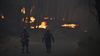«Αισιόδοξη εικόνα από τις φωτιές σε Βοιωτία και Φωκίδα» λέει ο Περιφερειάρχης Στερεάς Ελλάδας