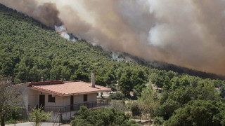 Πυρκαγιές: Ξεκινούν τη Δευτέρα οι αυτοψίες για τις ζημιές από τις φωτιές- Άμεσα οι πρώτες ενισχύσεις