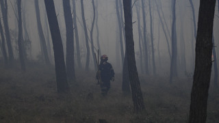 Megafire η φωτιά που ξεκίνησε από τη Βοιωτία - Κάηκαν πάνω από 100.000 στρέμματα