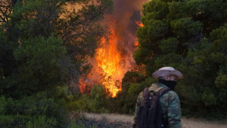 Πύρινος όλεθρος στην Αττικοβοιωτία – Εικόνες που κόβουν την ανάσα καταγράφει το CNN Greece