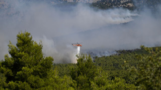Φωτιά στην Αττικοβοιωτία: Βίντεο ντοκουμέντο από την σύγκρουση των δύο ελικοπτέρων στην Ψάθα