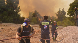Ανεξέλεγκτη η φωτιά στην Αττικοβοιωτία: Καίγεται το όρος Πατέρας - Απειλούνται σπίτια (Liveblog)