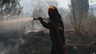 Τσίγκας: «Επανάληψη της φωτιάς του 2009» το πύρινο μέτωπο στη Βοιωτία