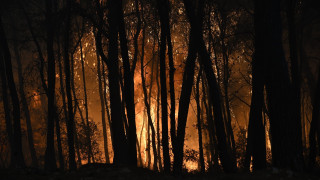 Μάχη με τις φλόγες στο σκοτάδι σε ανοιχτά μέτωπα - Έρευνα για την τραγωδία με τους νεκρούς πιλότους
