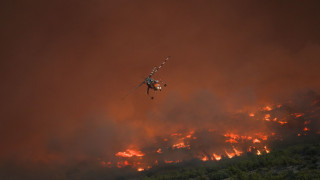 Μega-fire κατακαίει Αττική και Βοιωτία: Στάχτη 100.000 στρέμματα – Μάχες με μέτωπα σε όλη τη χώρα