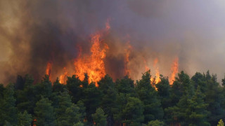 Φωτιά στη Βοιωτία: Δραματικές εικόνες από το Κρύο Πηγάδι – Τι καταγράφει ο φακός του CNN Greece