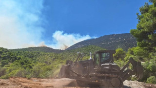 Στη μάχη με τις φλόγες και οι Ένοπλες Δυνάμεις - Το άνοιγμα αντιπυρικών ζωνών (pics&vid)