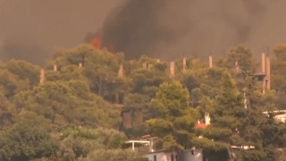 Liveblog: Μήνυμα από το 112 για εκκένωση οικισμού στην Ψάθα - Οι φλόγες απειλούν σπίτια