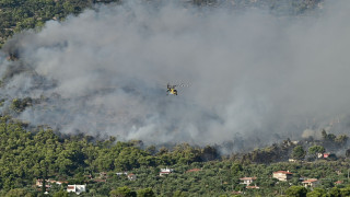 Liveblog: Μάχη με τη φωτιά σε τρία μέτωπα στη δυτική Αττική - Συνεχείς αναζωπυρώσεις στη Ψάθα