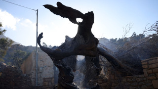 Ρέθυμνο: Δωρεά ζωοτροφών στους πυρόπληκτους κτηνοτρόφους με πρωτοβουλία του δήμου Αγίου Βασιλείου