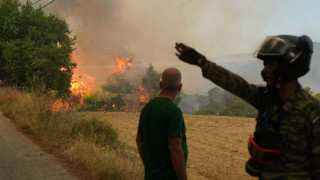 Αντιδήμαρχος Μέγαρων: «Μιλάμε για ολική καταστροφή - To όρος Πατέρας έχει καεί απ' άκρη σ' άκρη»