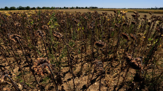Ρεκόρ ζέστης με 40 βαθμούς Κελσίου στην Αυστρία - Εξαιρετικά ξηρός μήνας ο Ιούλιος