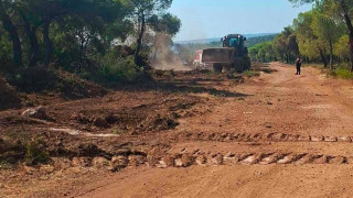 Πώς οι αντιπυρικές ζώνες στη Δυτική Αττική «φρέναραν» την επέκταση της φωτιάς και έσωσαν δάση