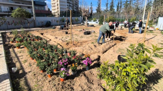 Πάνω από 40 σχολικές αυλές γίνονται πιο «πράσινες» και δροσερές στην Αθήνα