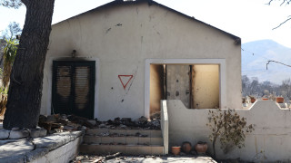 Φωτιές: Τι έδειξαν οι πρώτες αυτοψίες - Από Δευτέρα οι αιτήσεις για αποζημιώσεις πυρόπληκτων