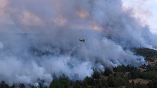Μαίνονται οι φωτιές σε Αλβανία και Σερβία εν μέσω καύσωνα - Ένας νεκρός στο Βελιγράδι