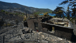 Αττικοβοιωτία, η επόμενη μέρα μετά τη mega fire: Η «μάχη» πριν τις βροχές, αποζημιώσεις, αναδάσωση