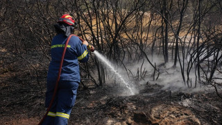 Οριοθετήθηκε η πυρκαγιά στον Γέρακα Αττικής