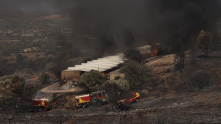Κουβαράς: Σε χαράδρα η μάχη με τις φλόγες - Η φωτιά έκαψε δύο κτηνοτροφικές μονάδες