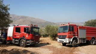 Επιχείρηση της Πυροσβεστικής σε φωτιά σε χαμηλή βλάστηση στη Χαλκίδα