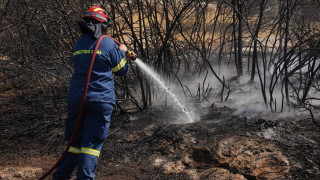 Φωτιά στον Λουτρόπυργο Αττικής - Επιχειρούν πέντε εναέρια μέσα