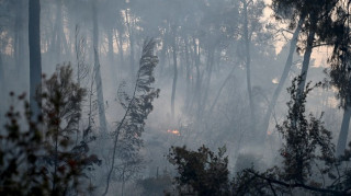 Φωτιά στη Χαλκιδική - Πυροσβεστική: Ολονύκτια μάχη με ενισχύσεις που φθάνουν από όλη τη χώρα