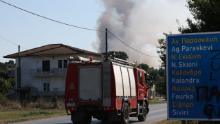 «Μας έφτυσαν και μας χτύπησαν» - Επίθεση σε τηλεοπτικό συνεργείο στη φωτιά της Χαλκιδικής