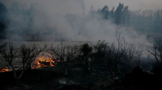 Ολονύκτια επιφυλακή για τη φωτιά στη Χαλκιδική: Σωτήριοι απεγκλωβισμοί, χάθηκαν δάσος και περιουσίες