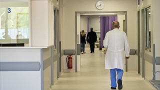 Φίδι δάγκωσε 10χρονο στην Αλόννησο - Μεταφέρθηκε εσπευσμένα στο νοσομείο Βόλου