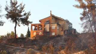 Πώς ξεκίνησε η φωτιά στη Σίβηρη Χαλκιδικής - Το «σημείο μηδέν» σε φωτογραφία - ντοκουμέντο
