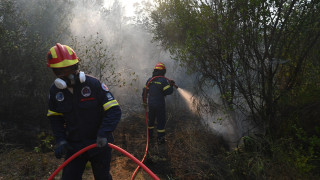 Χαλκιδική: Μάχη με τις διάσπαρτες εστίες - Στάχτη και αποκαΐδια άφησε το σαρωτικό πέρασμα της φωτιάς