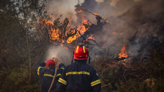 Φωτιά στη Χαλκική: Ελεύθεροι δύο εργολάβοι του ΔΕΔΔΗΕ που παρουσιάστηκαν αυτοβούλως