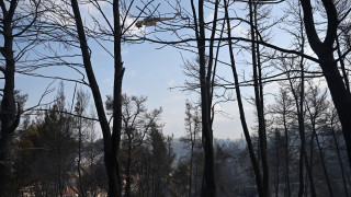 Αρτοποιός: Νέα έκκληση στους πολίτες για καμία θερμή εργασία - Πολύ αυξημένος ο κίνδυνος και σήμερα