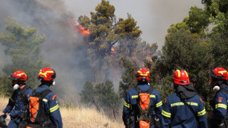 Σε Red Code όλη η χώρα τον Δεκαπενταύγουστο - Οι ριπές ανέμου «σήκωσαν» Πεντέλη και Κάρυστο