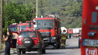 Χαλκιδική: Δύο συλλήψεις για την επίθεση σε τηλεοπτικό συνεργείο που κάλυπτε τη φωτιά
