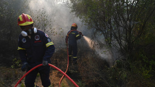 Φωτιά στην Άνδρο, «σηκώθηκαν» και εναέρια μέσα - Ήχησε το 112 για ετοιμότητα