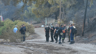 Φωτιά στη Σαλαμίνα: Αποκαταστάθηκε πλήρως η κυκλοφορία των οχημάτων