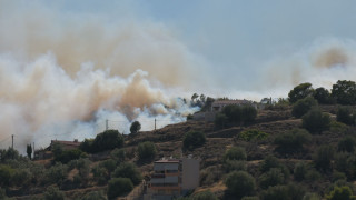 Η ενημέρωση του Πυροσβεστικού Σώματος για την πυρκαγιά στη Σαλαμίνα