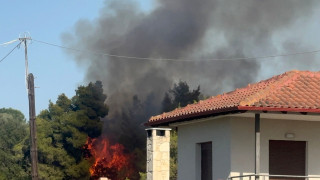 Χαλκιδική-φωτιά: Ξεκίνησαν οι αιτήσεις για κρατική αρωγή σε επιχειρήσεις που επλήγησαν στη Σίβηρη