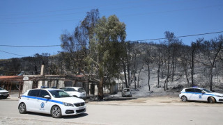 Σαλαμίνα: Τι έδειξαν οι εξονυχιστικοί έλεγχοι της ΔΑΕΕ - Τα σενάρια για τη φονική πυρκαγιά