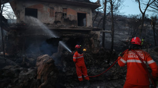 Σαλαμίνα: Ξεκινούν σήμερα οι αυτοψίες στα καμμένα - Σύσκεψη Κατσαφάδου με τους φορείς
