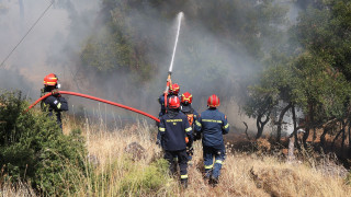 Πυρκαγιά στο Γενέσι Τρικάλων: Επιχειρούν επίγειες και εναέριεες δυνάμεις