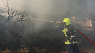 Καλύτερη η εικόνα της φωτιάς στην Ελάτεια Φθιώτιδας - Συνεχίζεται η μάχη σε διάσπαρτες εστίες
